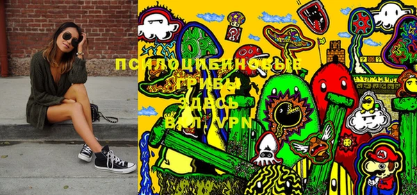 прущая мука Арсеньев