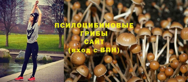 ГАЛЛЮЦИНОГЕННЫЕ ГРИБЫ Балахна