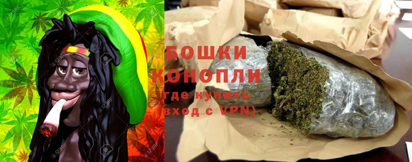ГАЛЛЮЦИНОГЕННЫЕ ГРИБЫ Балахна