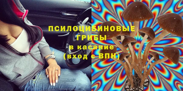 ГАЛЛЮЦИНОГЕННЫЕ ГРИБЫ Балахна
